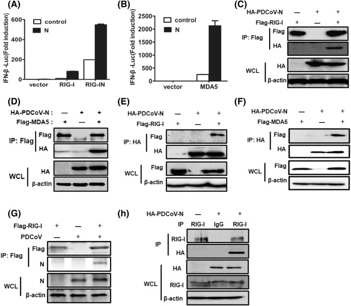 Fig. 3