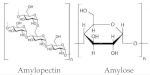 graphic file with name polymers-13-04284-i011.jpg