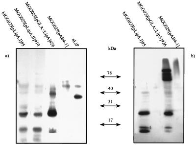 FIG. 4