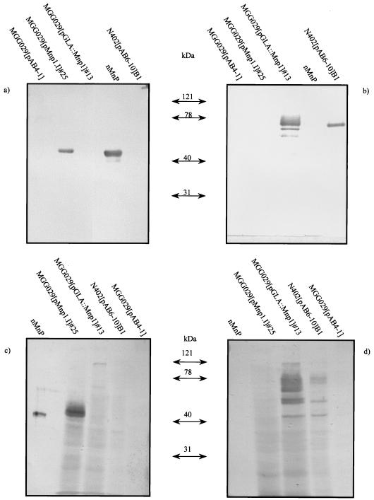 FIG. 3