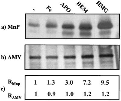 FIG. 6