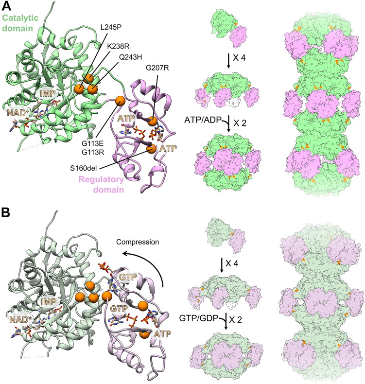 Figure 1