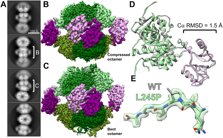 Figure 7