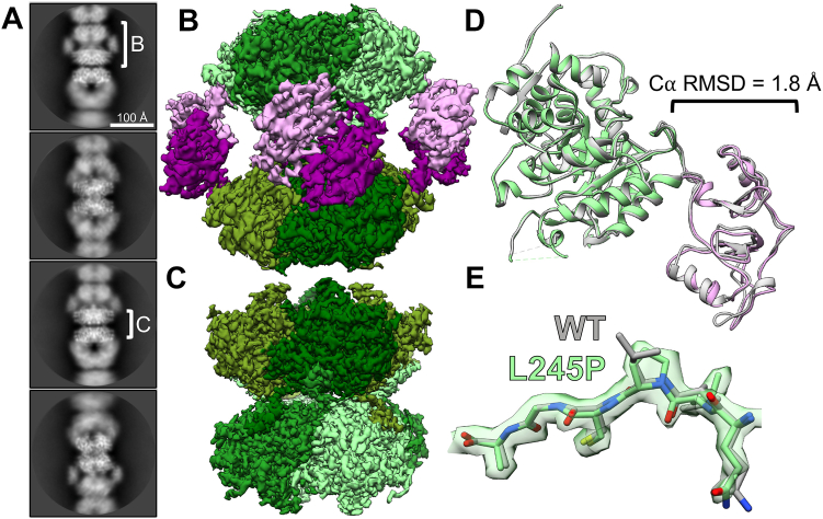 Figure 6