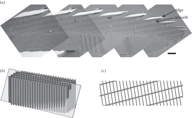 Figure 3.