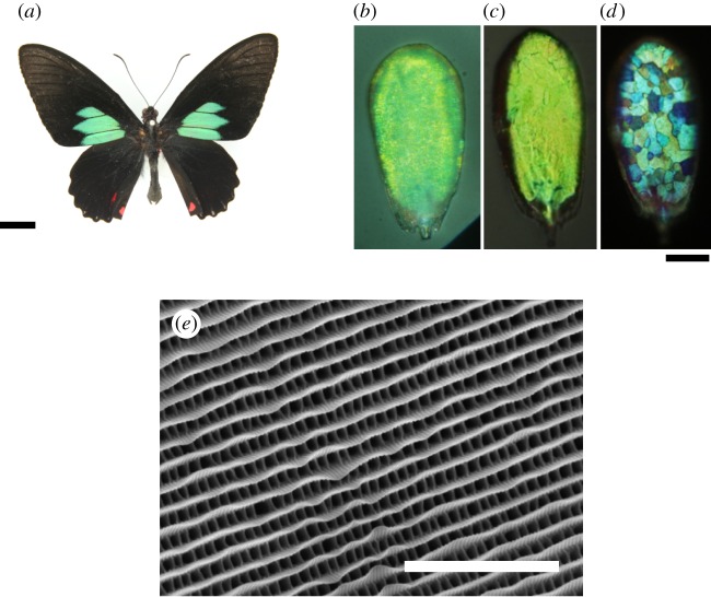 Figure 1.