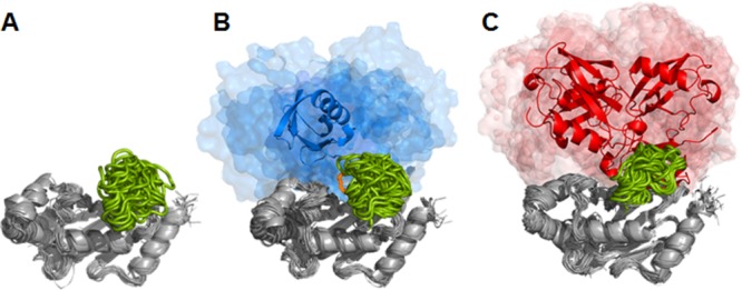 Figure 9