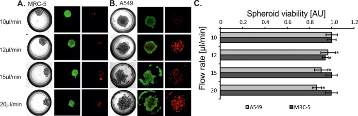 FIG. 8.