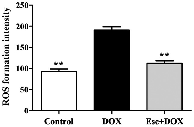 Figure 3.