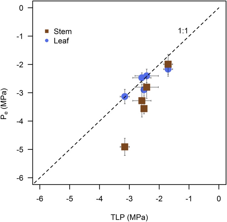 Figure 5.