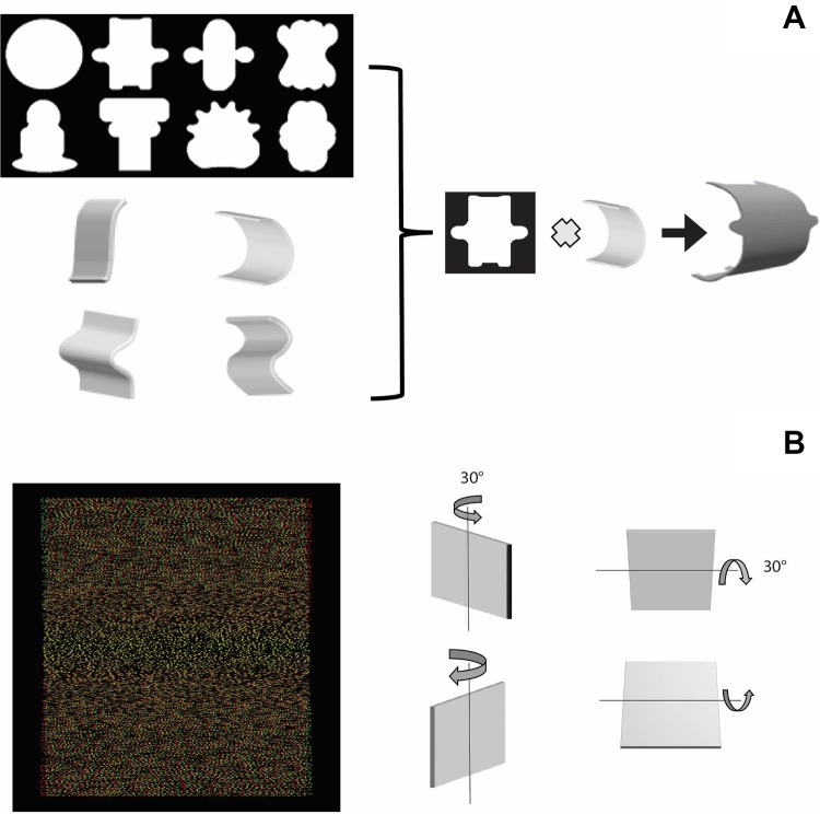 Fig. 1.