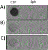 Fig 3.