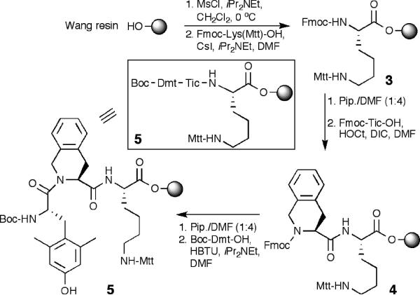 Scheme 1