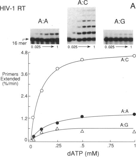 graphic file with name pnas00288-0180-a.jpg