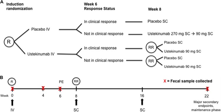 FIG 1 