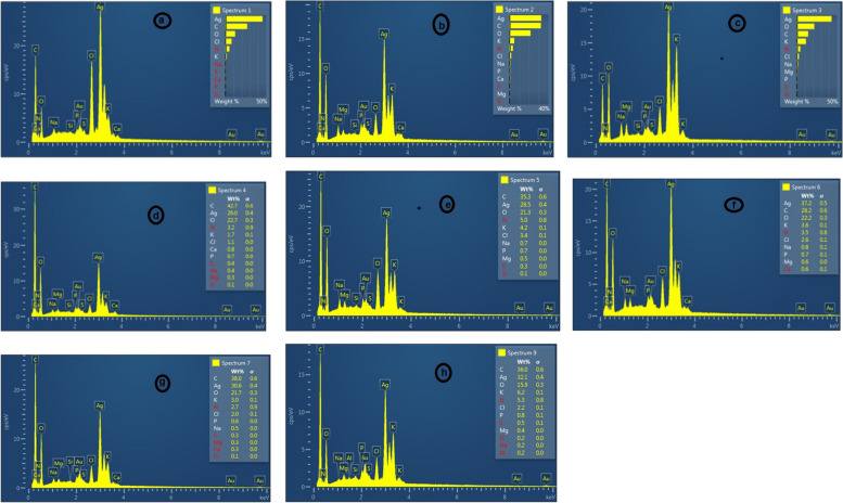 Fig. 12