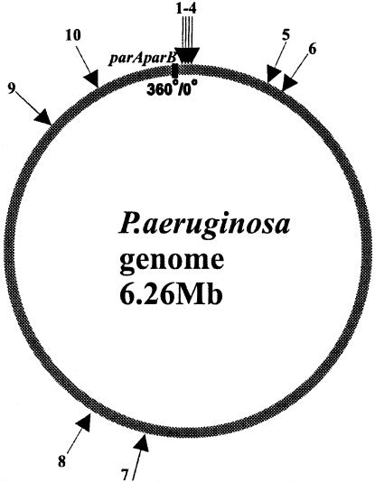 FIG. 6.