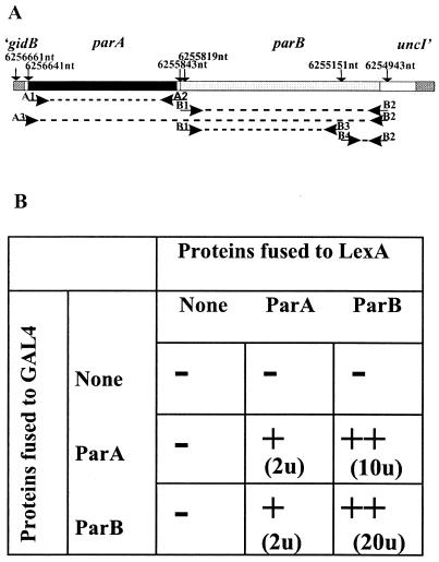 FIG. 2.