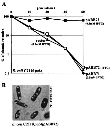 FIG. 7.