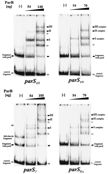 FIG. 8.