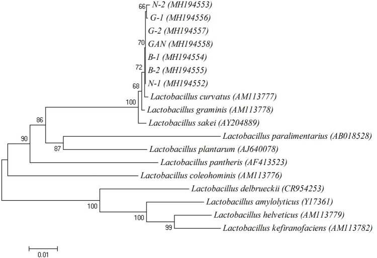 FIGURE 1