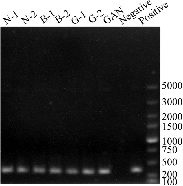 FIGURE 3