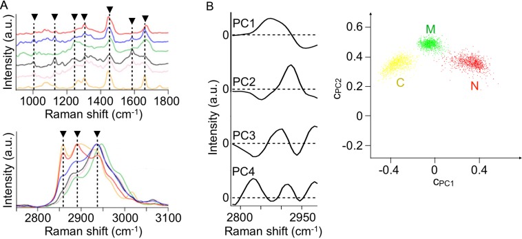 Fig. 3.