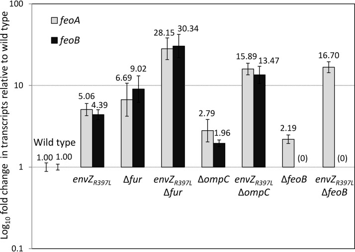 FIG 2