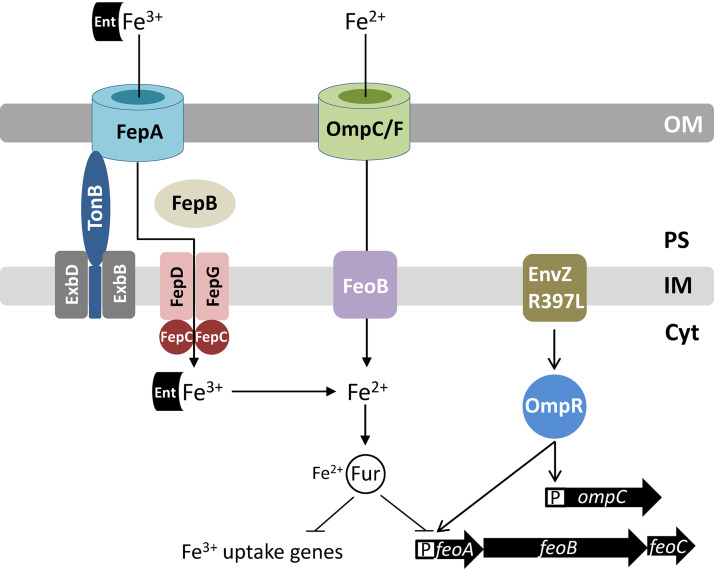 FIG 8