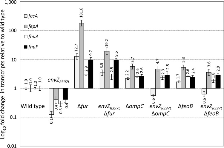 FIG 1