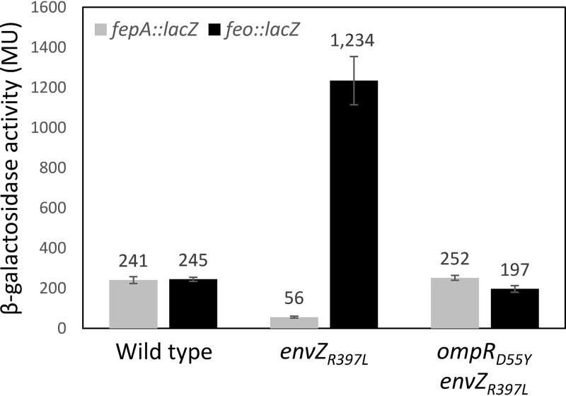 FIG 4