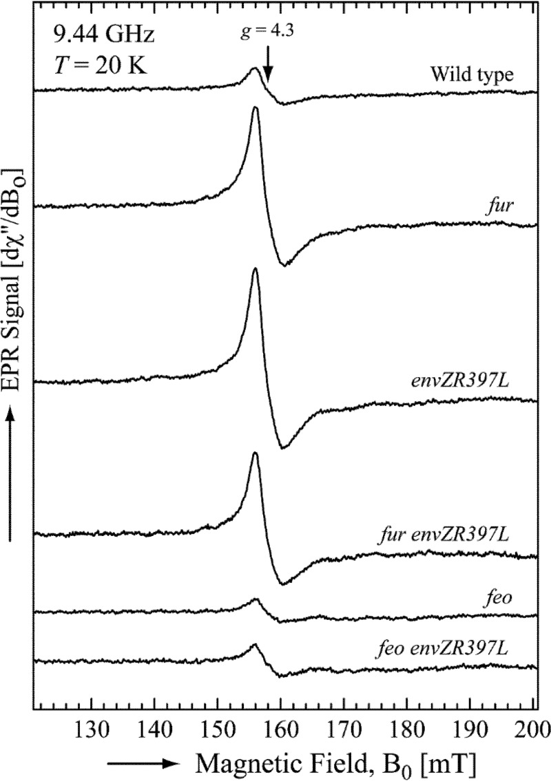 FIG 3