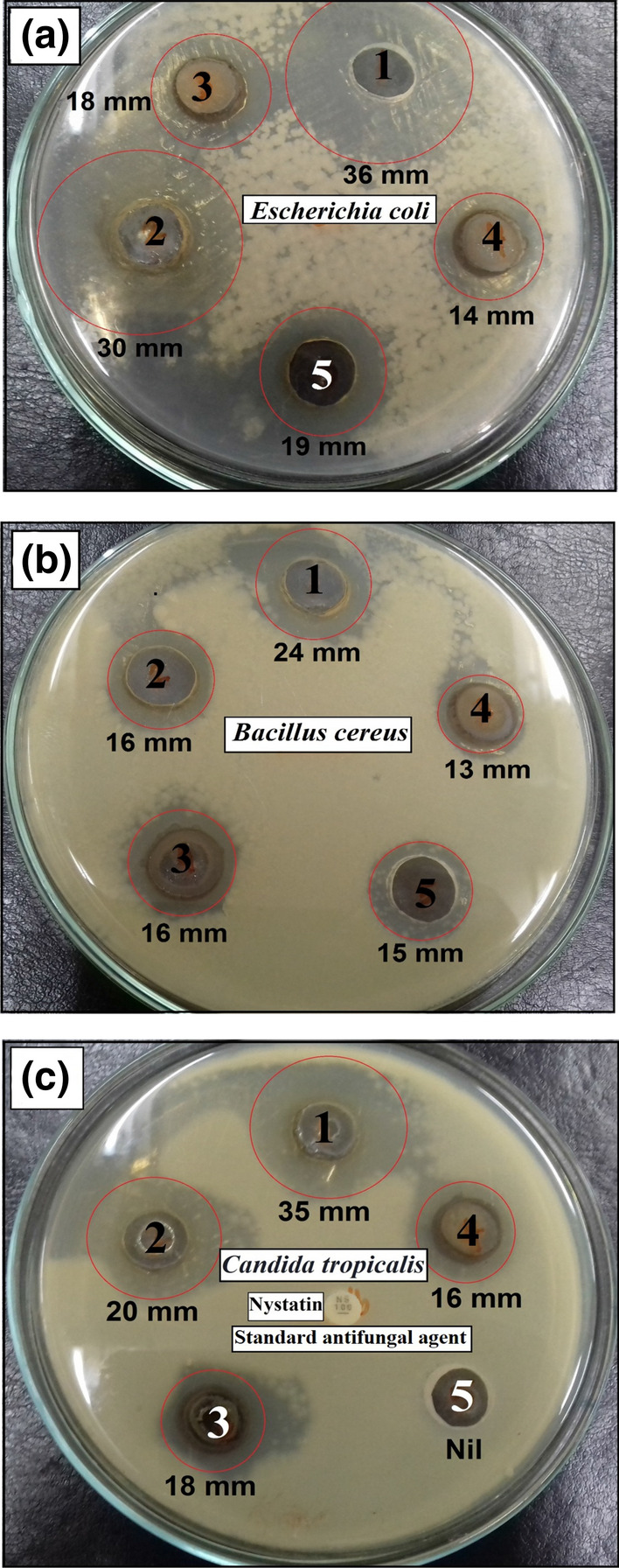 Figure 15