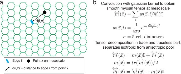 Figure 2—figure supplement 3.