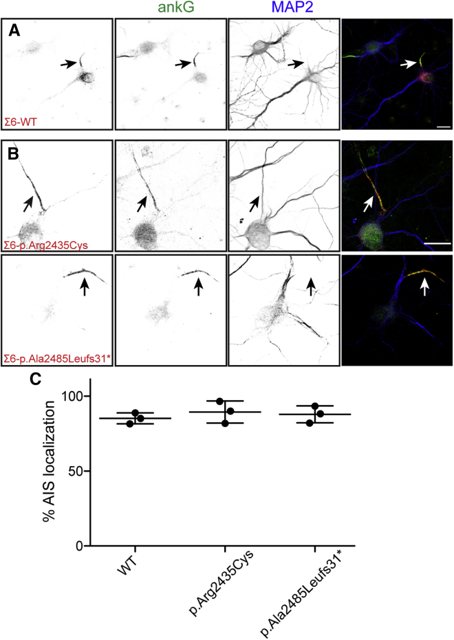 Figure 3