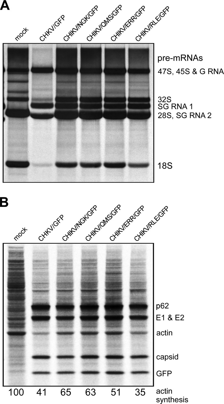 FIG 9