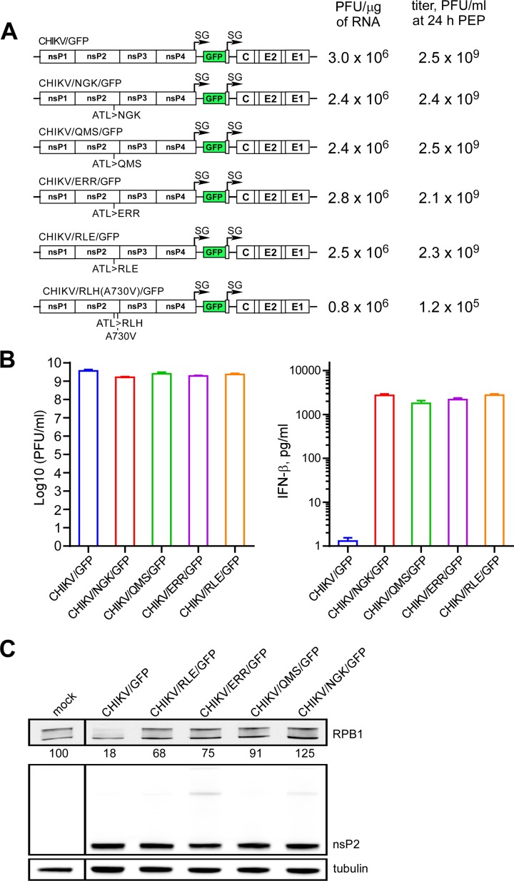 FIG 6