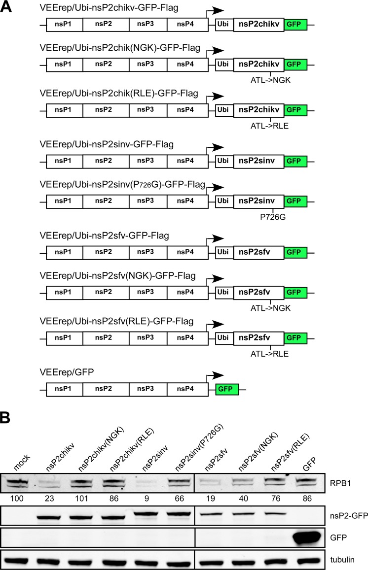 FIG 11