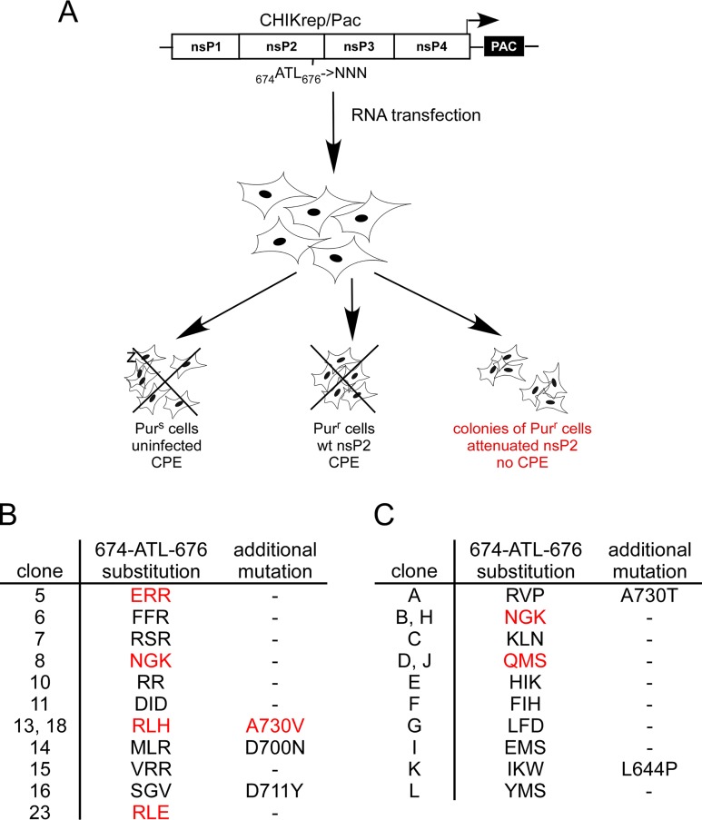 FIG 4