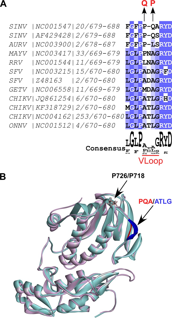 FIG 1