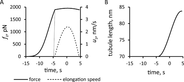 FIGURE 5: