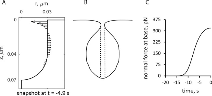 FIGURE 6: