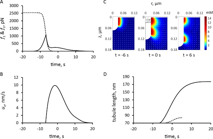 FIGURE 7: