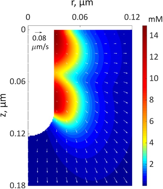 FIGURE 4: