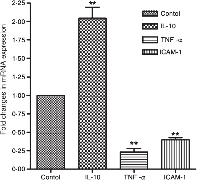 IWJ-12319-fig-0002-b