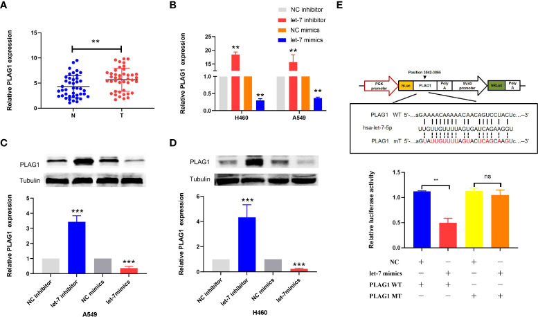 Figure 7