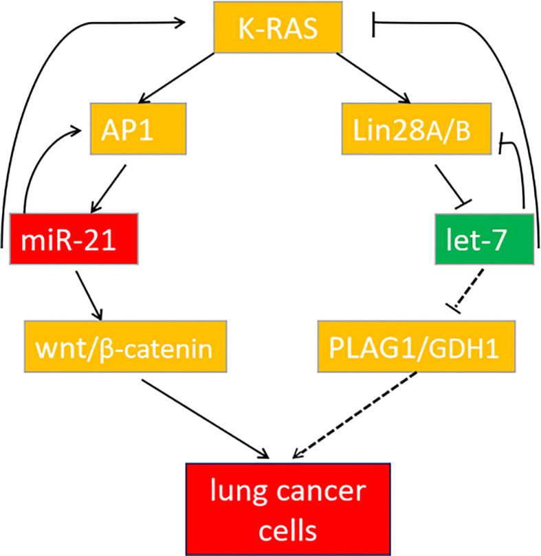 Figure 9