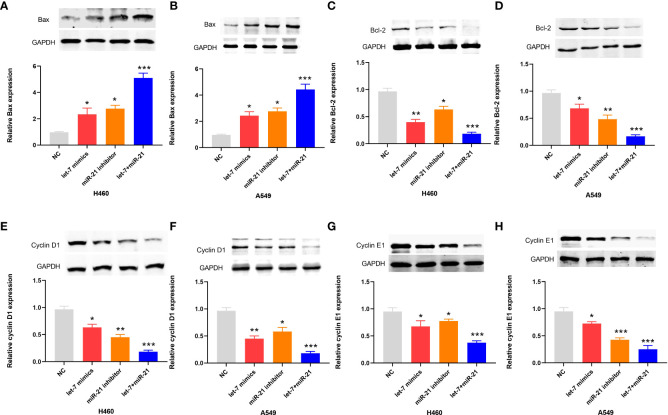 Figure 4