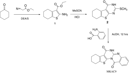 Scheme 1