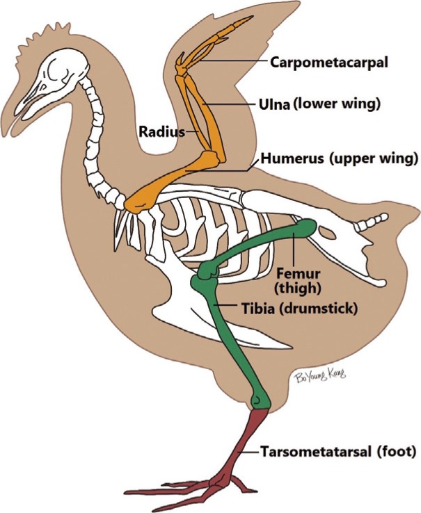 Fig. 2